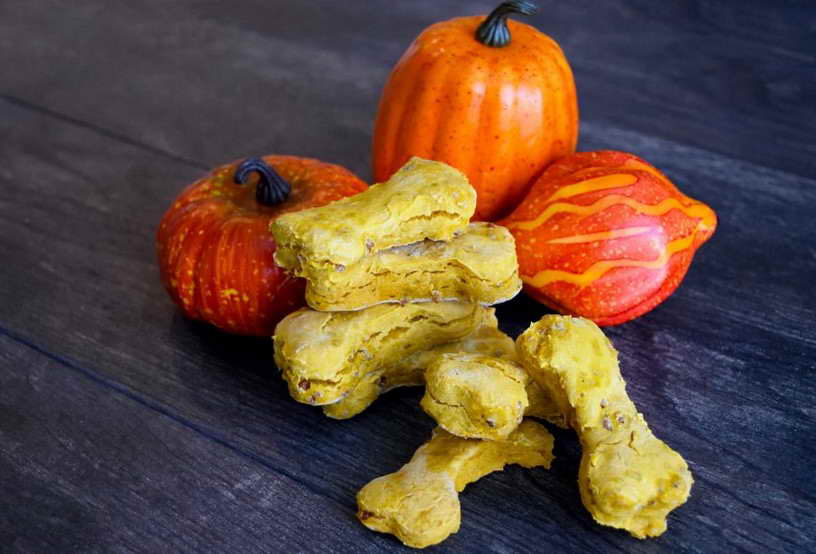 Pumpkin Dog Treats Recipe