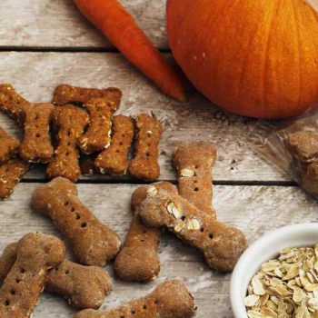 Pumpkin Peanut Butter Dog Treats