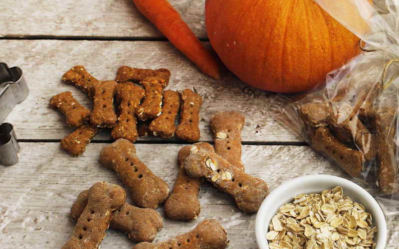 Pumpkin Peanut Butter Dog Treats
