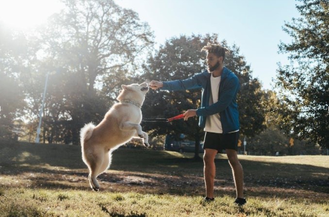 The Importance of Exercising With Your Dog