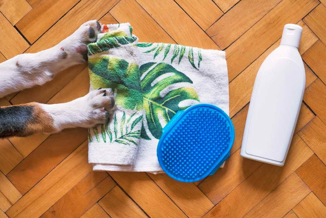 How Much Does It Cost To Get A Dog Groomed