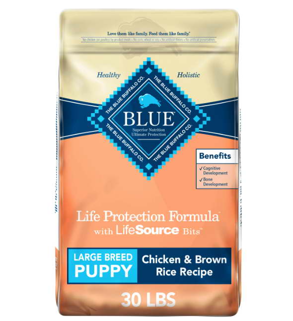 Australian Shepherd Border Collie Mix Blue Buffalo