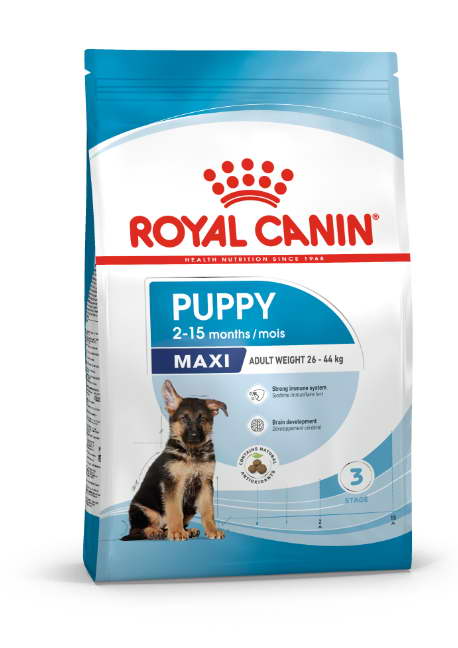 Australian Shepherd Border Collie Mix Royal Canin