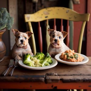 Best food for Terrier Chihuahua mix puppies