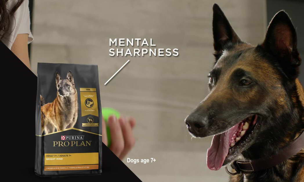 best dog food for a german shepherd puppy Purina Pro Plan