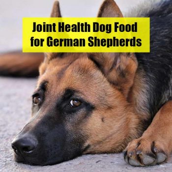 Joint Health Dog Food for German Shepherds