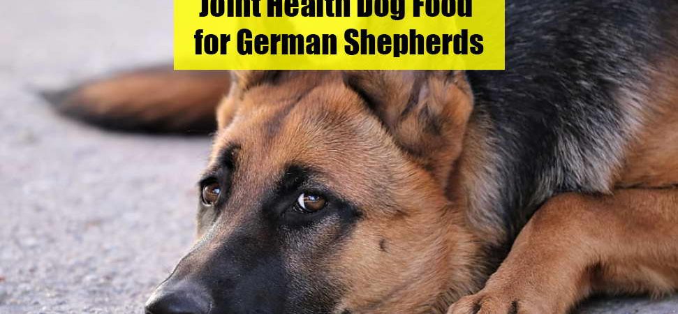 Joint Health Dog Food for German Shepherds