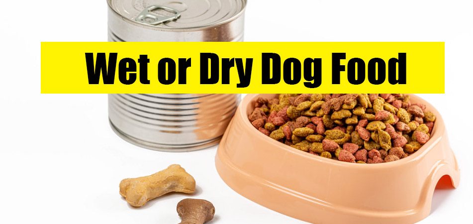 Wet or Dry Dog Food For German Shepherd