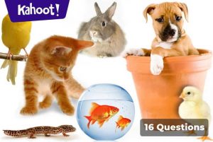 Animal Quizz Kahoot Log In