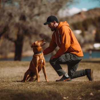 Dog Training Colorado Prison