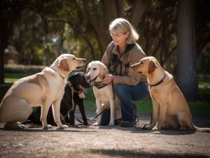 Dog Training Karen Pryor