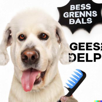 Deals On Dog Grooming