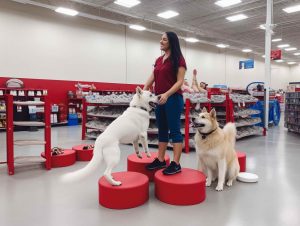 Dog Training Nothing In Life Is Free