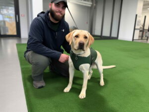 Dog Training Petco Price