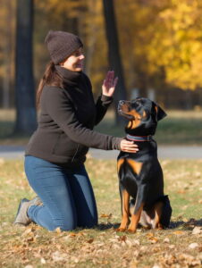 Dog Training For The Disabled