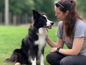 Dog Training In Western MA Cost