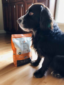 Grain Free Dog Food and Heart Failure