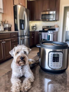 Homemade Dog Food Recipes Wholesome Meals for Your Furry Friend