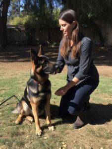 How To Get Dog Training Tips From Cesar Millan