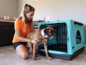 Training Techniques for Pawsitive Crate Training