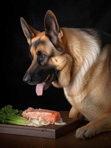 Raw Dog Food Online