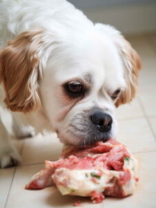 Real Meat Dog Food Lamb Cost