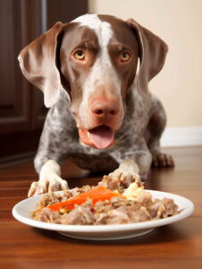 Understanding Dog Food Butcher Cost