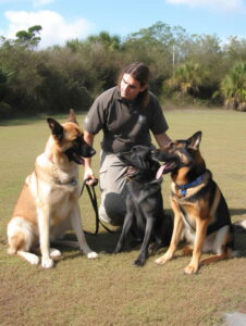 Understanding the Impact of PTSD and How Dog Can Help