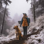 What Is the Best Dog Breed for Hiking