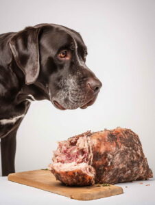 Why Choose Meat Ostrich Dog Food