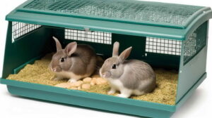 Choosing the Right Rabbits Small Animal Habitat