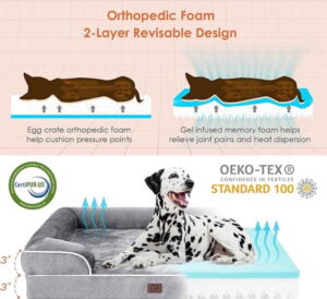 Orthopedic Dog Beds