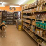 Pet Supplies: Ensuring Comfort and Happiness for Our Furry Friends