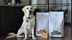 Premium Pet Food Brands Portion Control