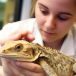The Best Reptile Vet Near You