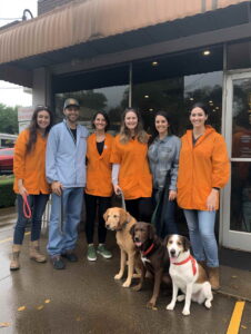 The Best Veterinarians In Denver 