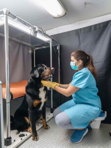 Veterinarian Care Center