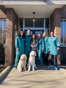 Veterinarian Partners