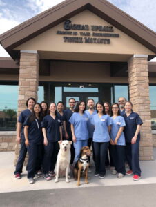 Veterinarian in Denver