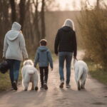 Pet Companionship – Why You Should Have One?