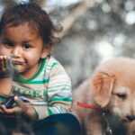 Happy Tails and Happy Kids: Finding the Perfect Child-Friendly Pooch