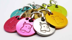 DIY Pet Tags