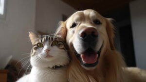 Essential Supplies Building the Foundation for a Happy Pet