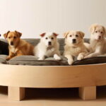 Pet Beds and Furniture