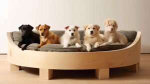 Pet Beds and Furniture