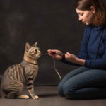Pet Training: A Pathway to Happy, Well-Behaved Companions