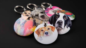 The Role of Technology in Pet Care