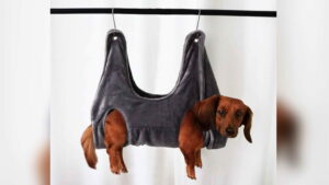 Dog Hammock For Nail Trimming